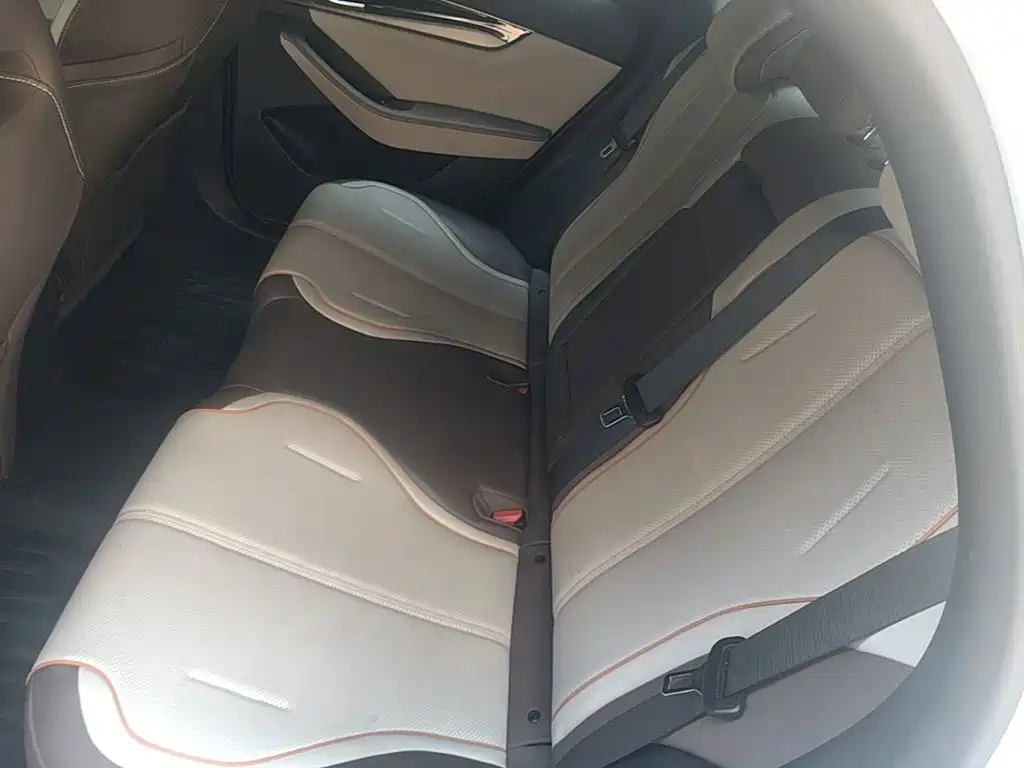 BYD Qin PLUS 2024 — фото 17