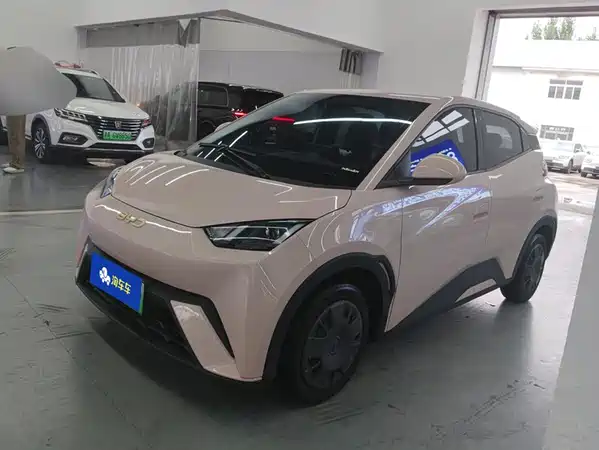 BYD Seagull 2024