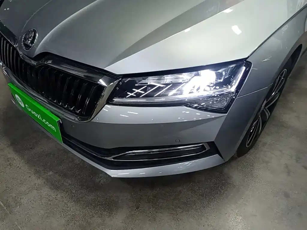 Skoda Speedy 2024 — фото 24