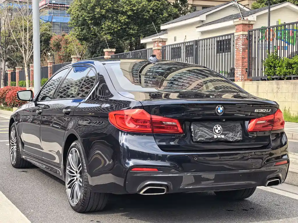 BMW 5 Series 2018 — фото 13