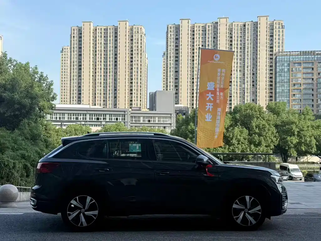 Volkswagen Tanyue GTE 2020 — фото 8