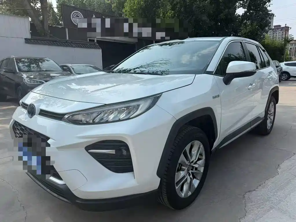 Toyota Wildlander 2021