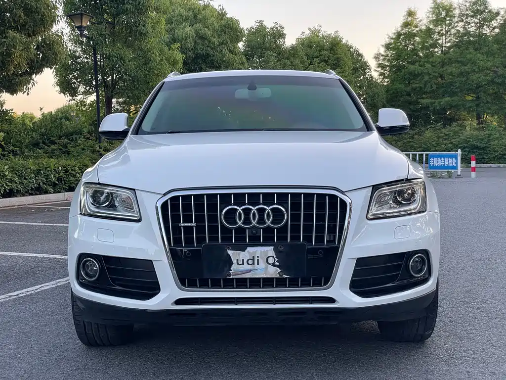 Audi Q5 2017 — фото 2