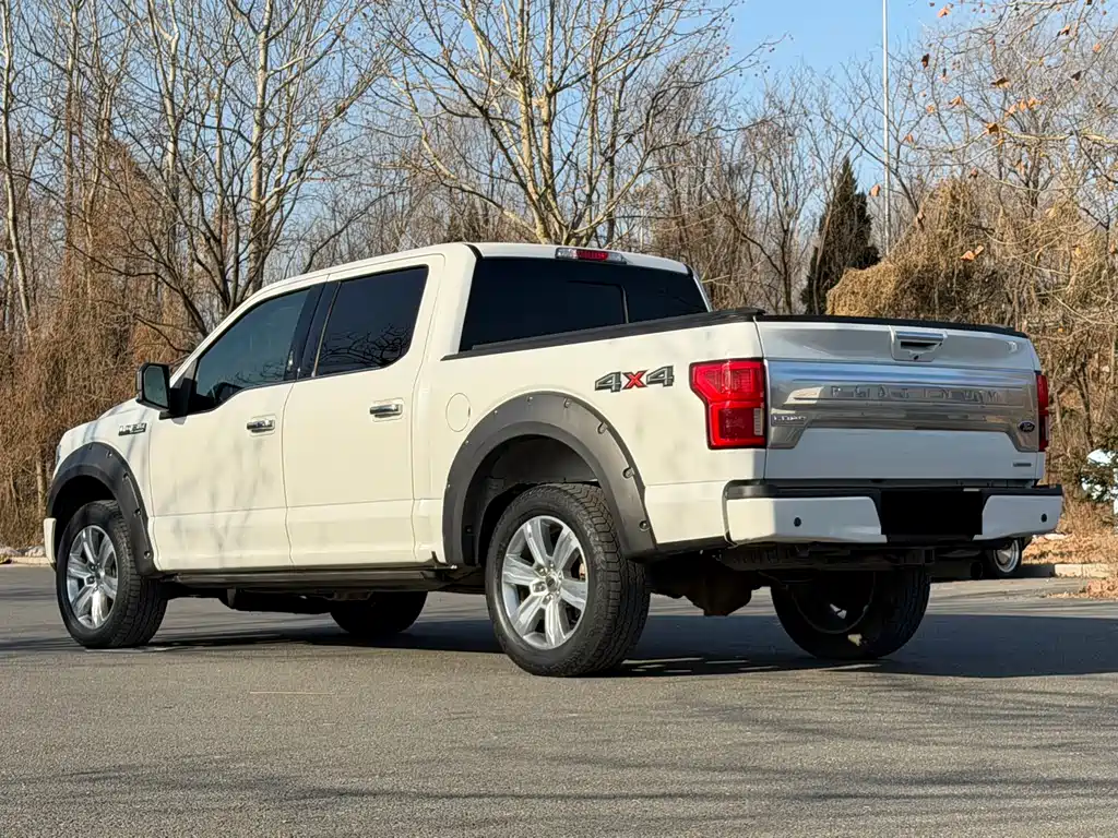 Ford F-150 Raptor 2020 — фото 4