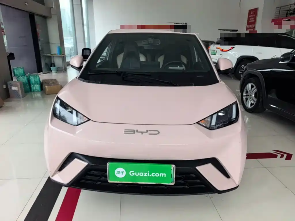 BYD Seagull 2024