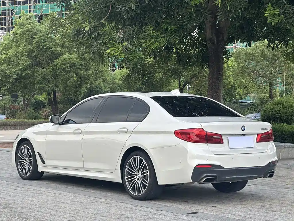 BMW 5 Series 2019