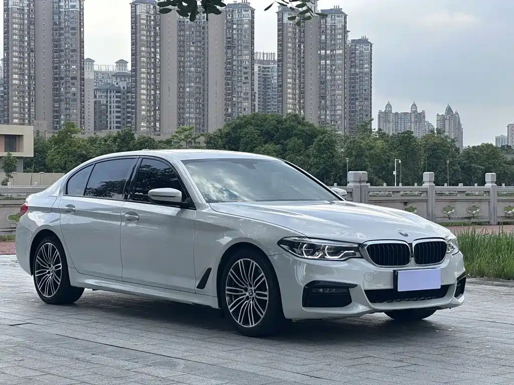 BMW 5 Series 2019