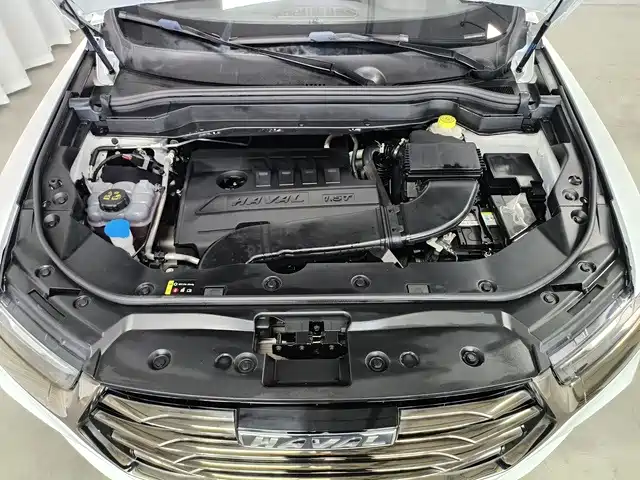Haval H6 2021 — фото 14