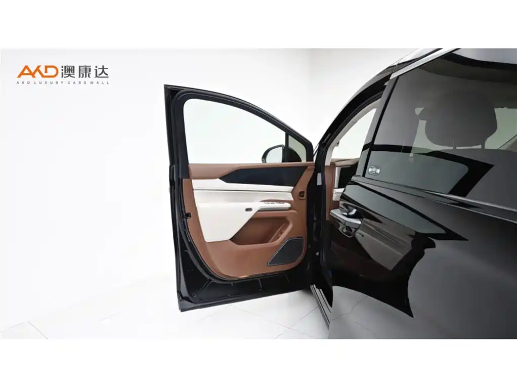 BYD Xia 2025 — фото 11