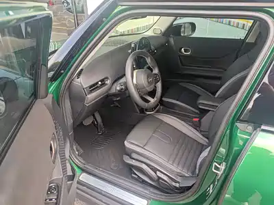 MINI MINI 2025