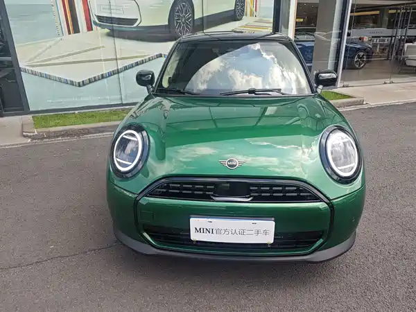 MINI MINI 2025