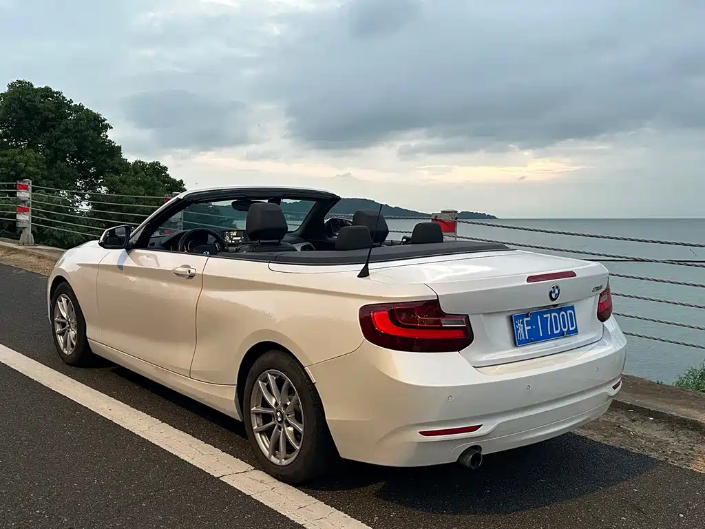 BMW 2 Series 2016 — фото 6