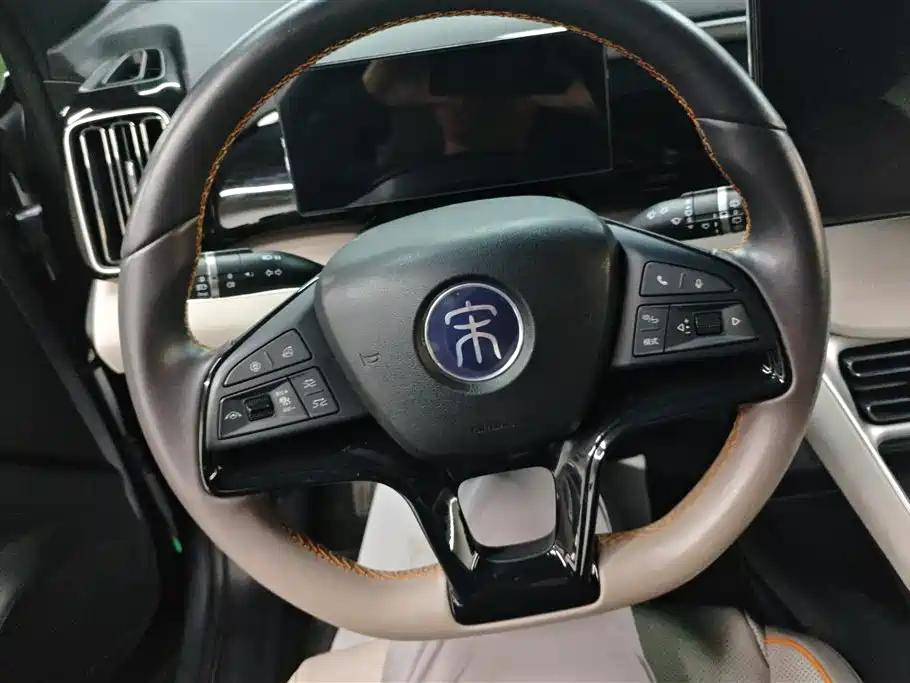 BYD Pro New Energy 2024 — фото 15