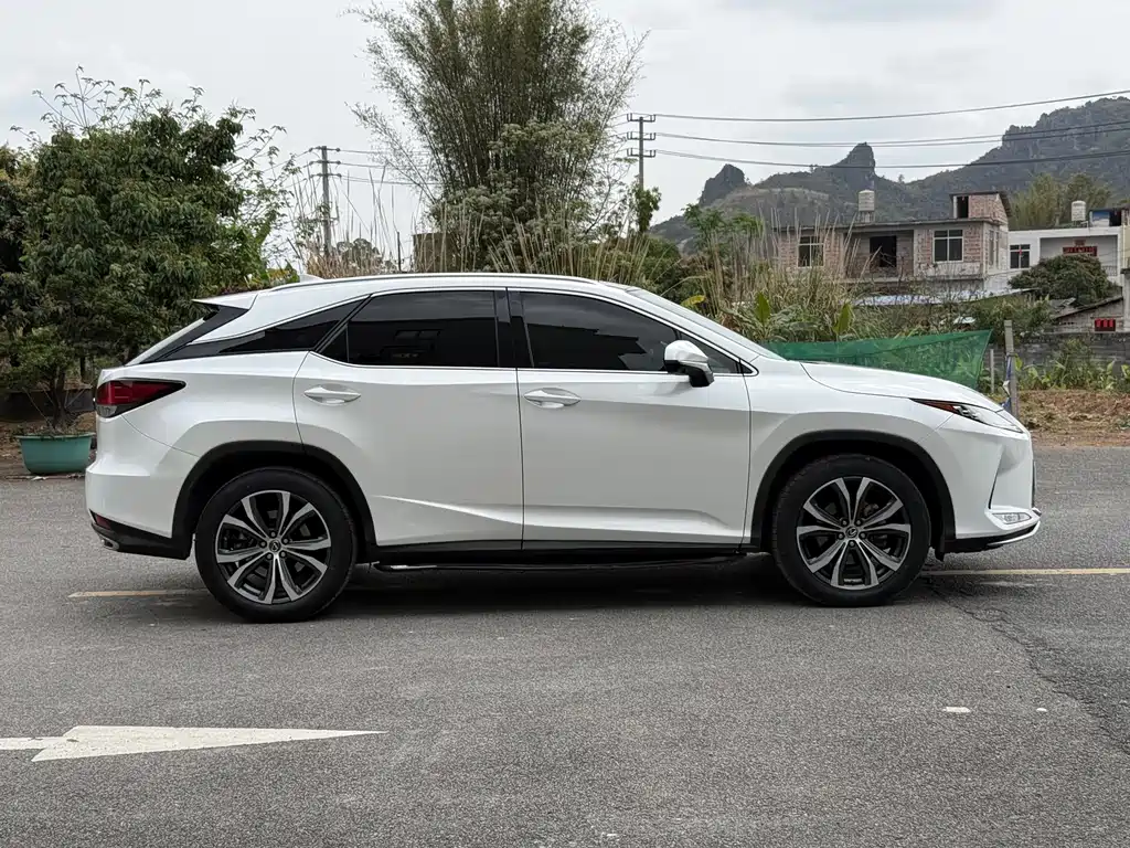 Lexus RX 2020 — фото 19