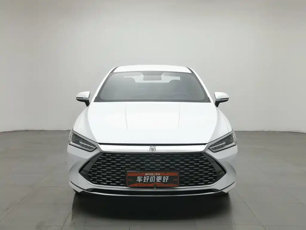 BYD Qin PLUS 2024