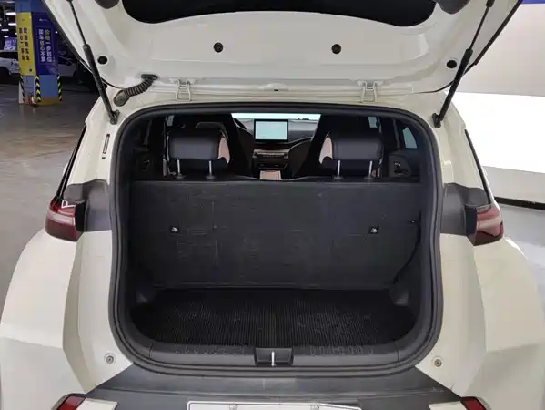 BYD Seagull 2023