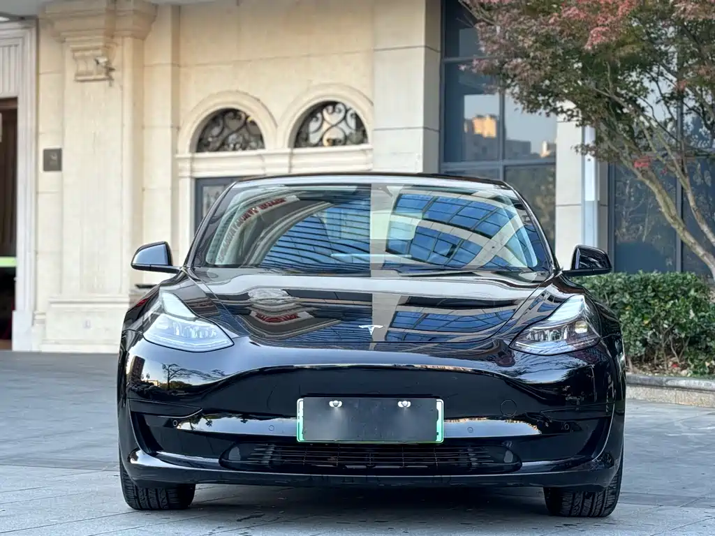 Tesla Model 3 2021 — фото 2