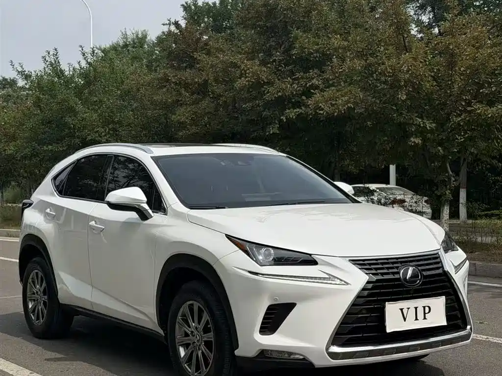 Lexus NX 2020 — фото 3