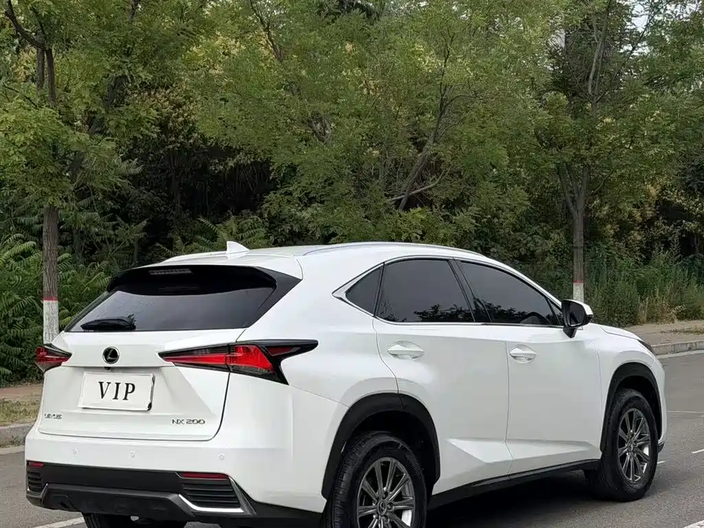 Lexus NX 2020 — фото 9