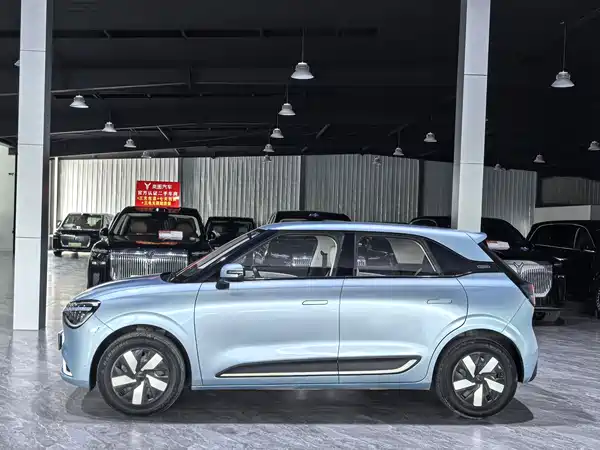 Dongfeng Nano 01 2024