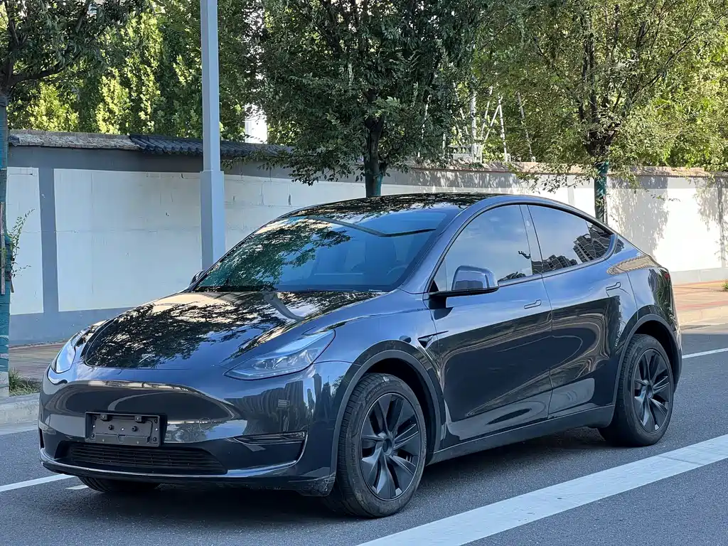 Tesla Model Y 2021 — фото 3