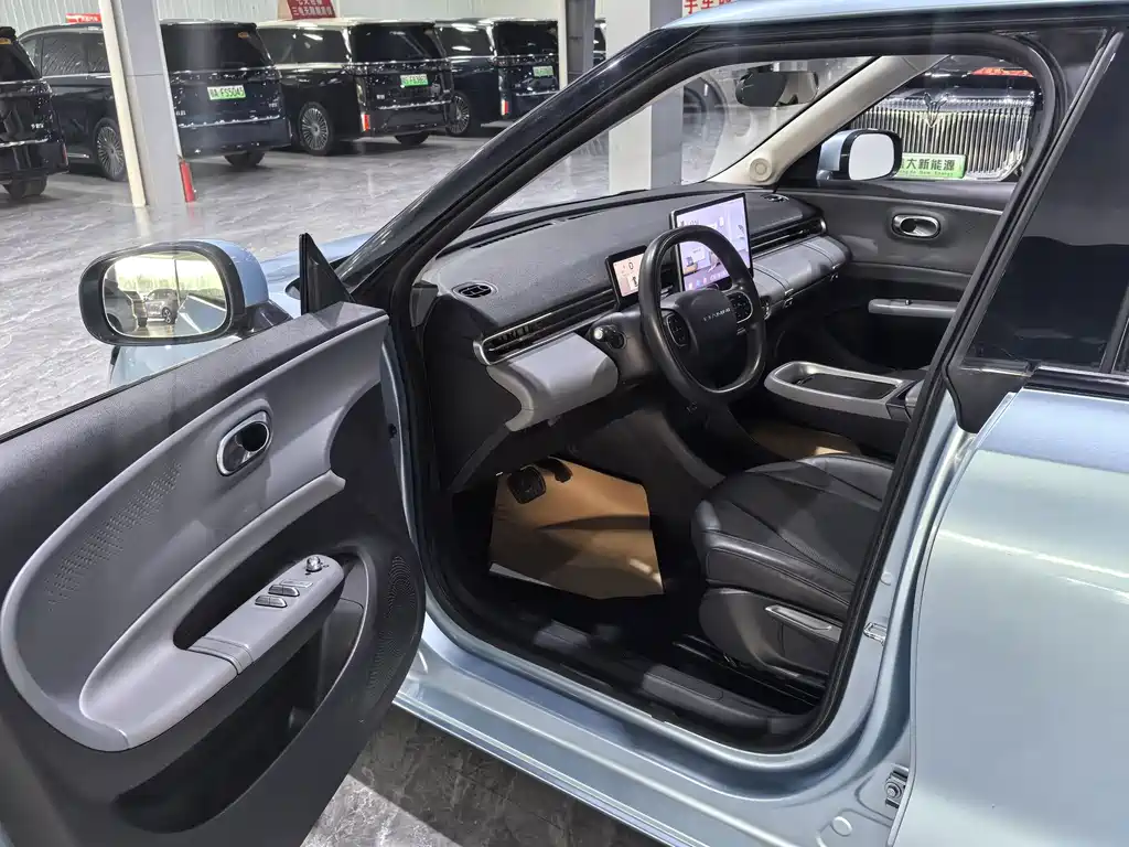 Dongfeng Nano 01 2024