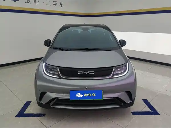 BYD Dolphin 2023