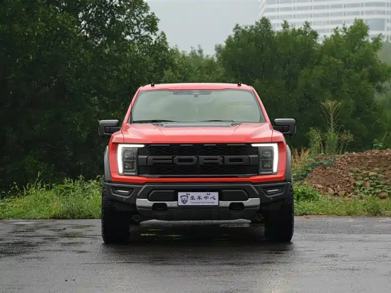 Ford F-150 Raptor 2024 — фото 3