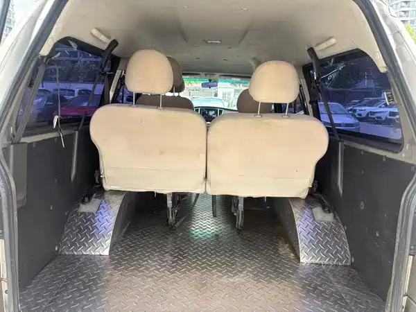 Dongfeng Lingzhi 2020