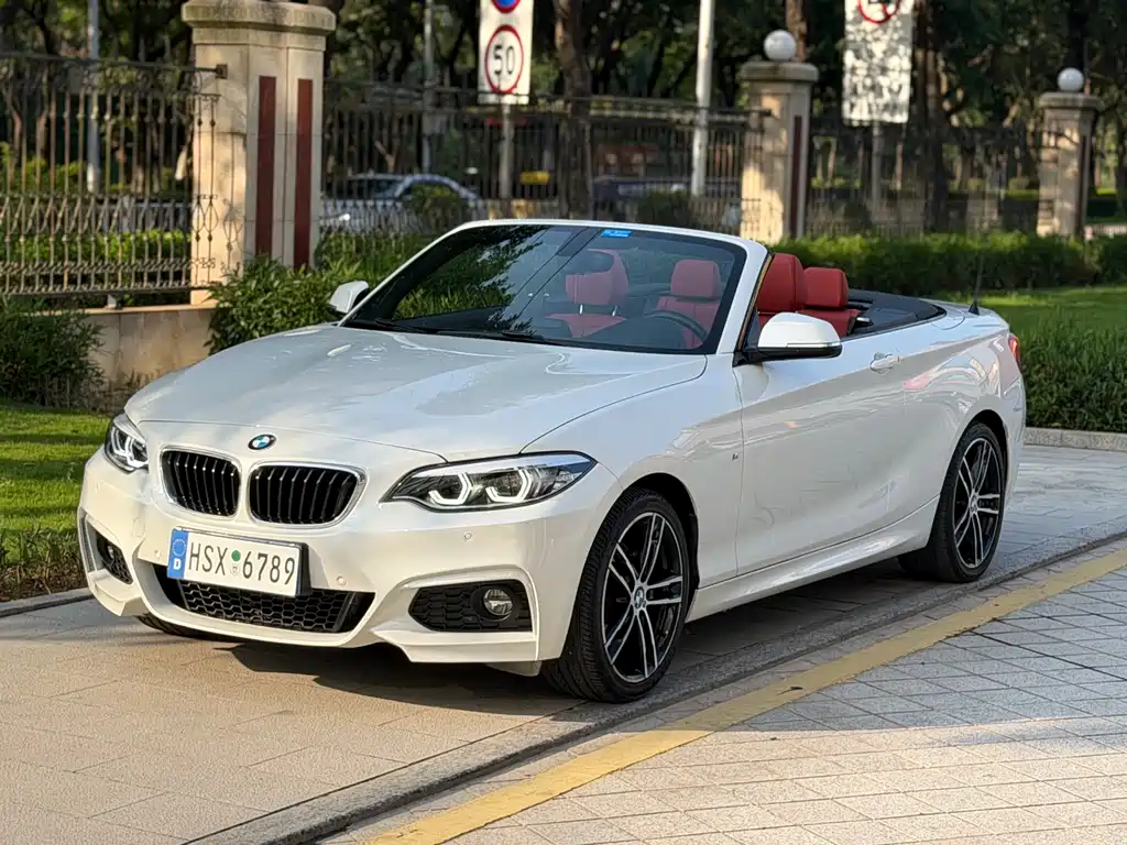 BMW 2 Series 2019