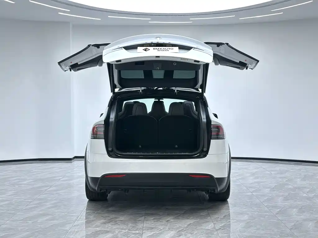 Tesla Model X 2017 — фото 7