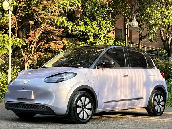 Wuling Bingo 2025