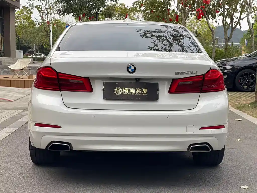 BMW 5 Series 2018 — фото 5