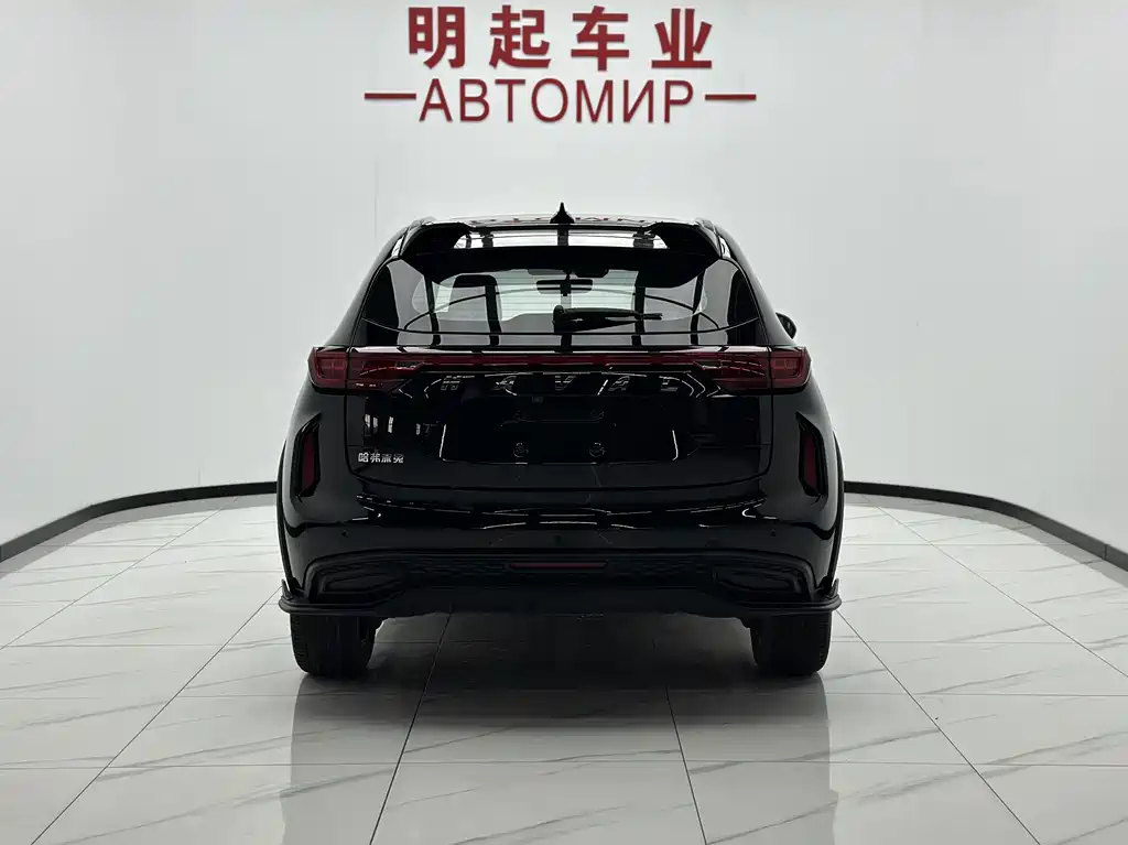 Haval Harvard Red Rabbit 2022 — фото 10