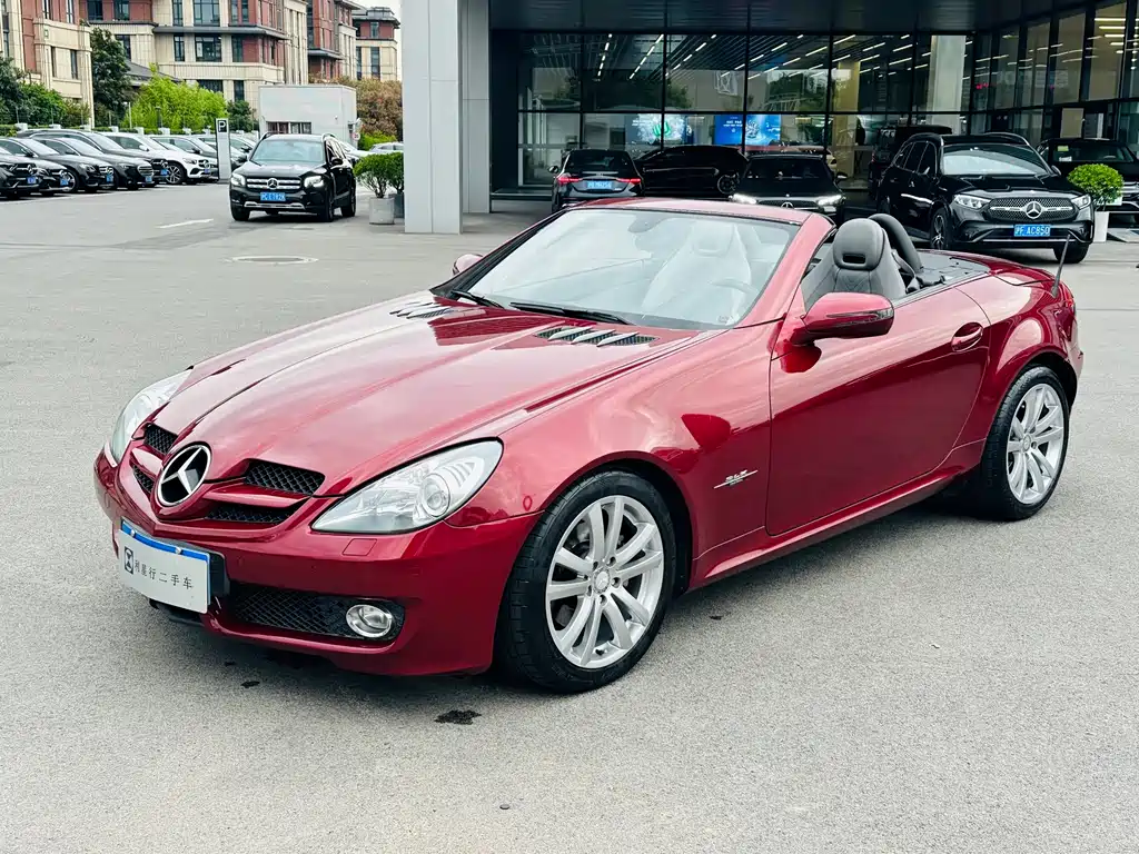 Mercedes-Benz SLK-Class 2010 — фото 1
