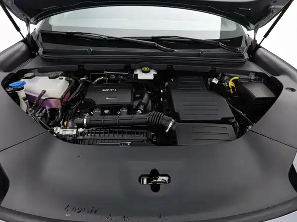 BYD Sealion 06 2025