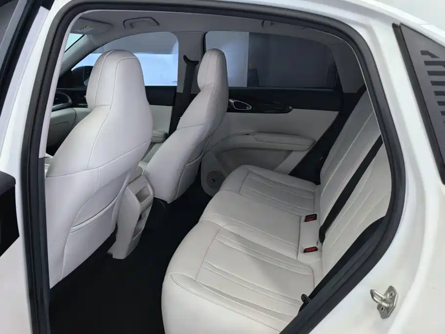 Geely Galaxy Starwish 2025 — фото 11