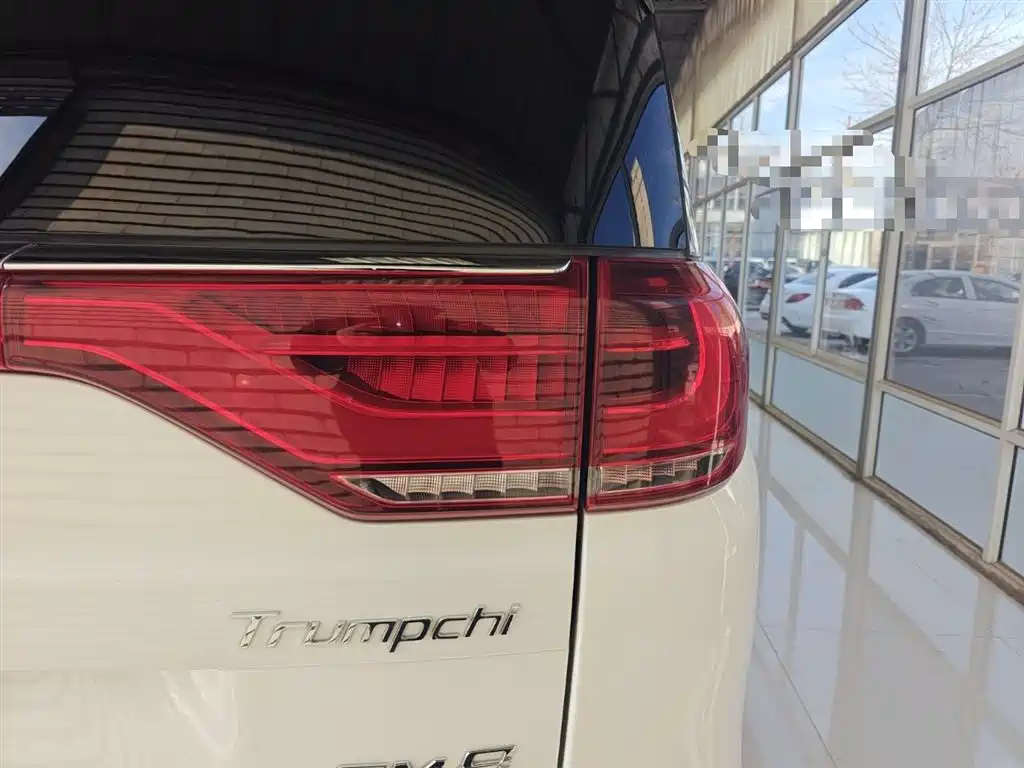 GAC Motor Trumpchi M8 2020 — фото 8