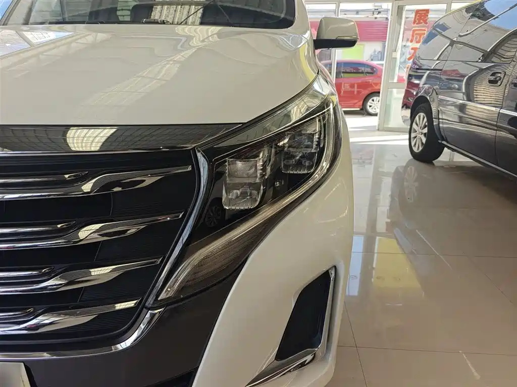 GAC Motor Trumpchi M8 2020 — фото 24