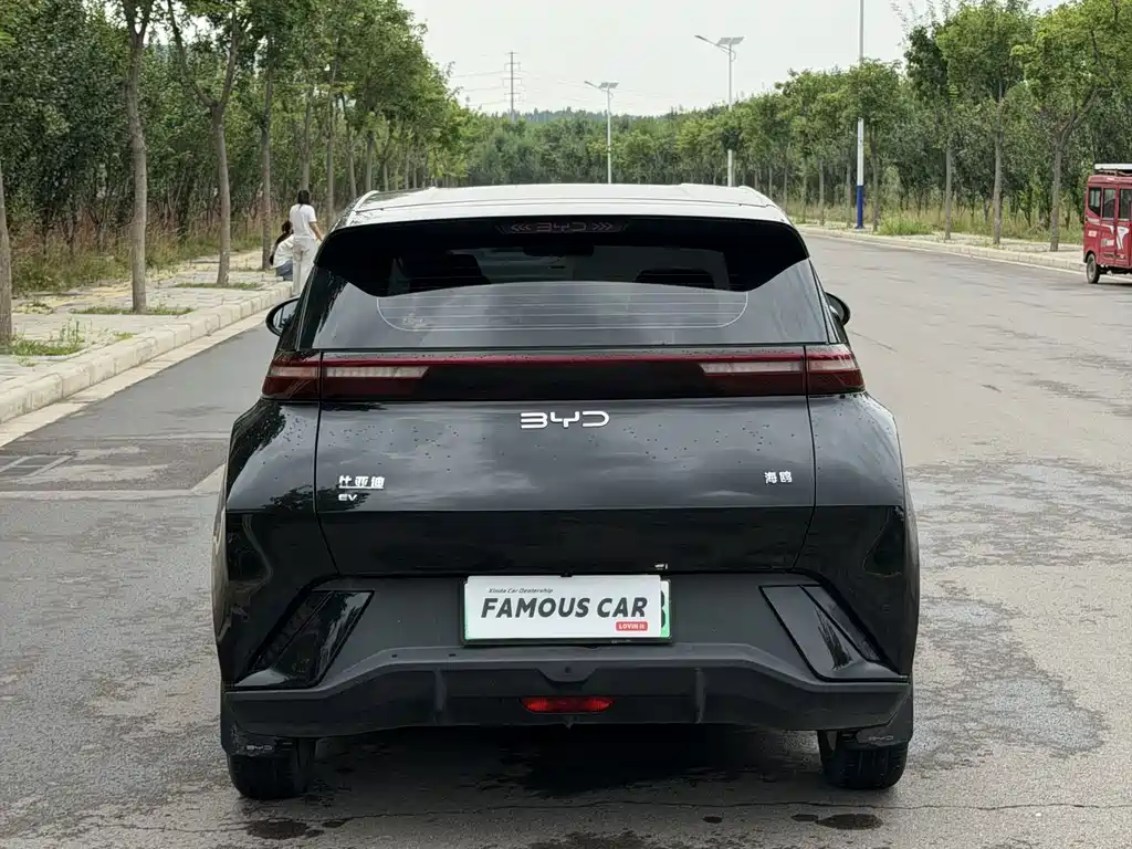 BYD Seagull 2024