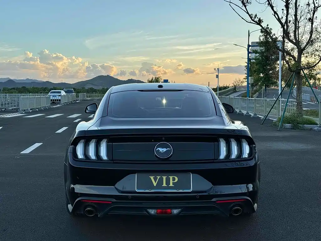 Ford Mustang 2019 — фото 10