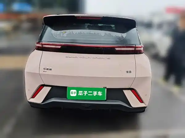 BYD Seagull 2024