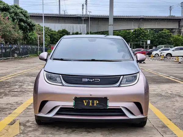 BYD Dolphin 2022