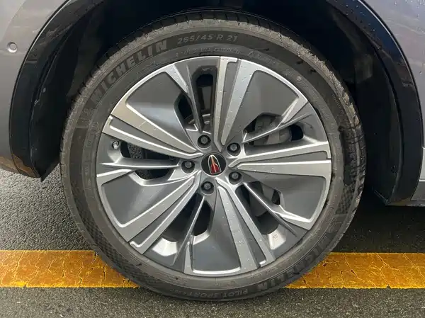 Hongqi E-HS9 2022