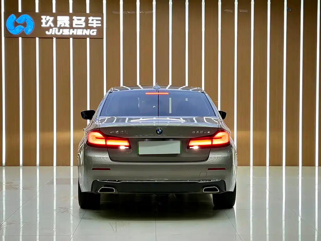 BMW 5 Series New Energy 2021 — фото 15