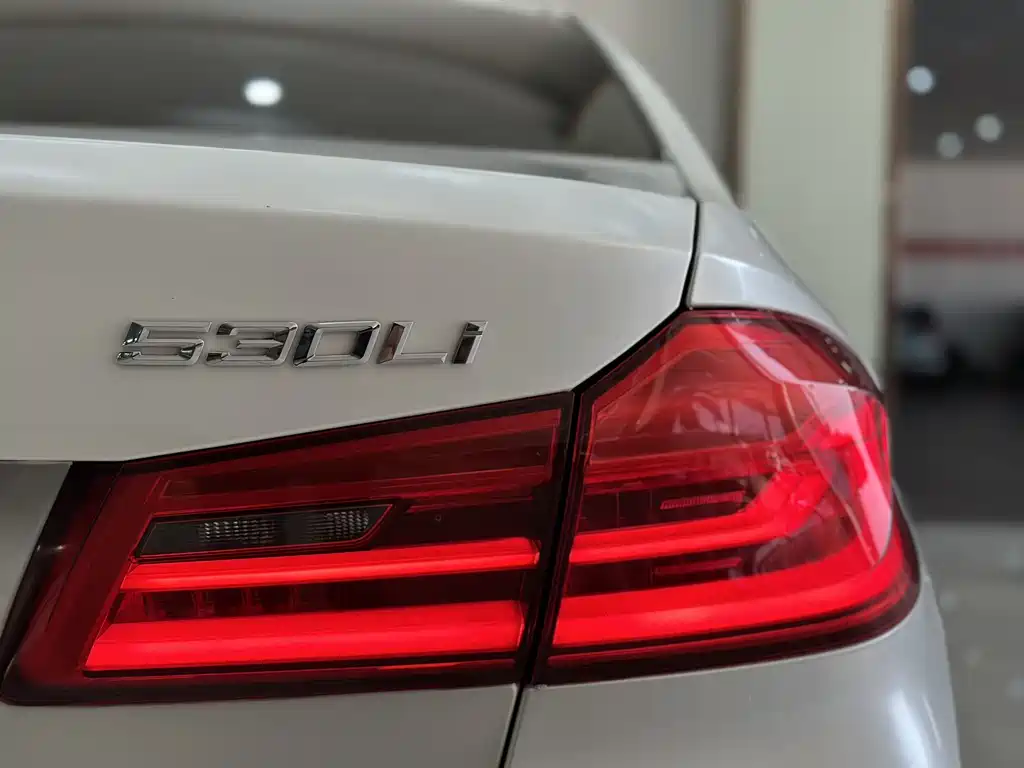 BMW 5 Series 2019 — фото 16