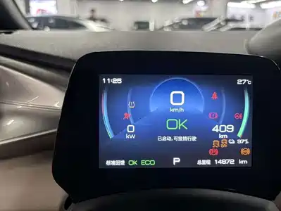 BYD Dolphin 2024