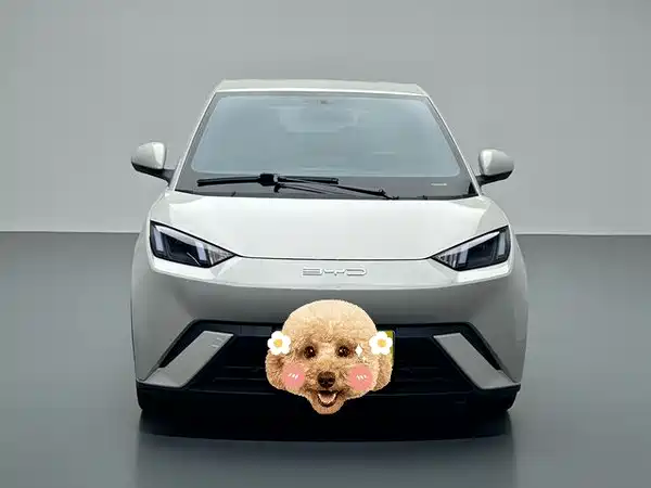 BYD Seagull 2024