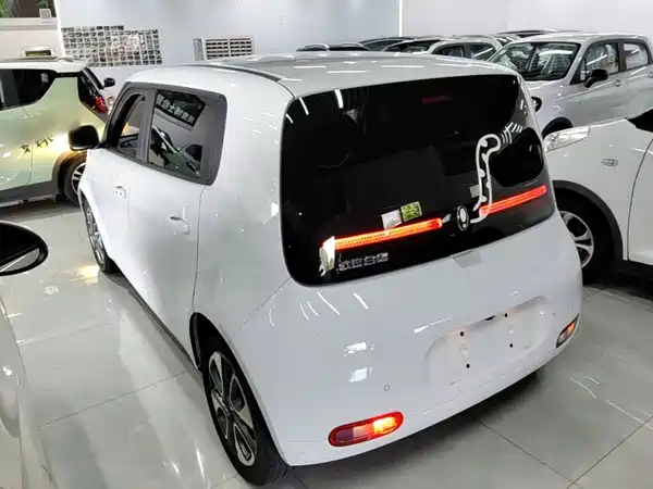 Ora White Cat 2022