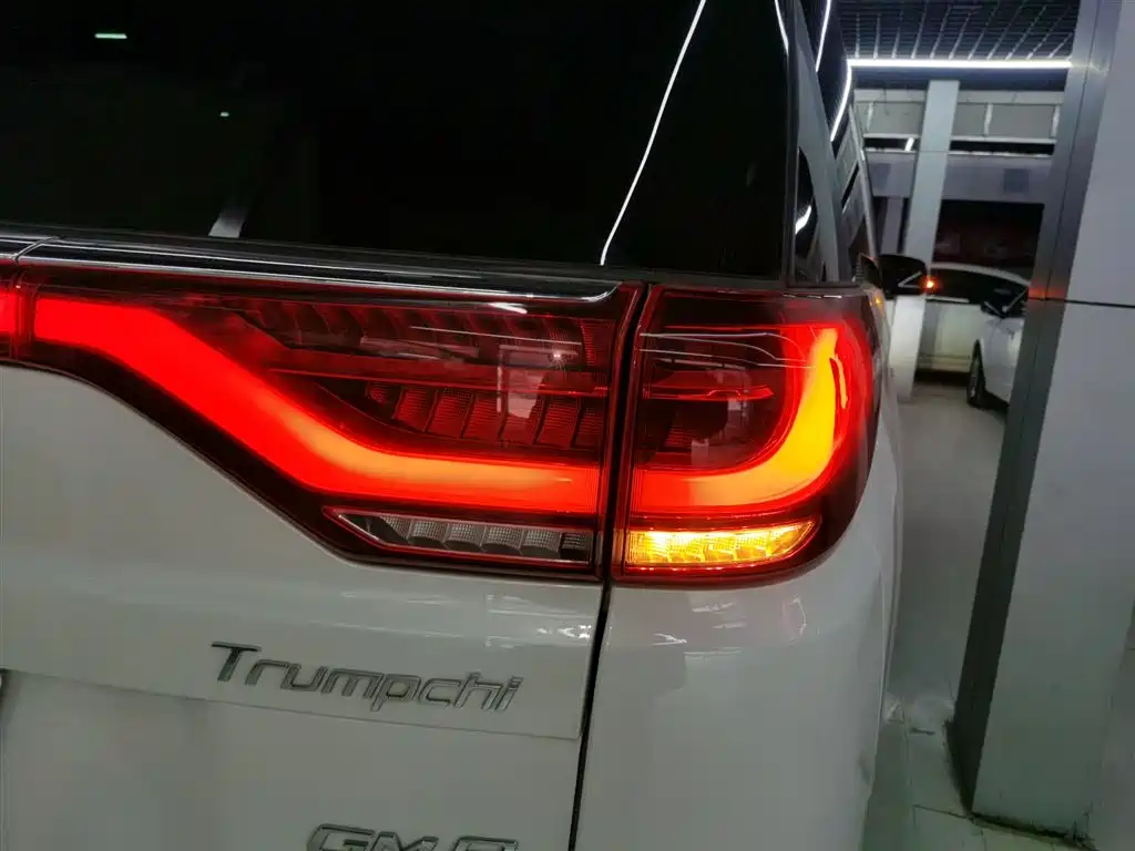 GAC Motor Trumpchi M8 2020 — фото 24